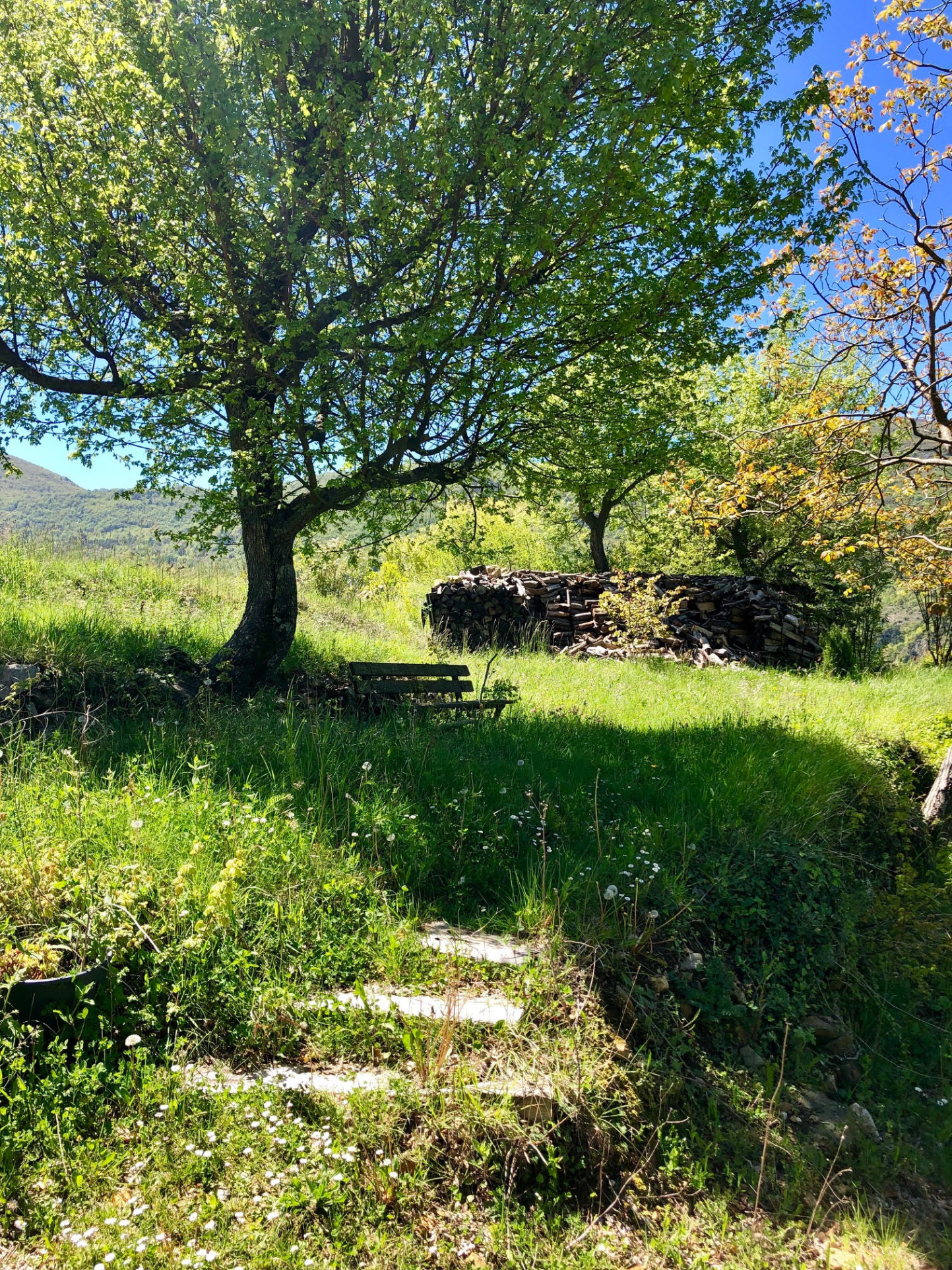 Terrain Avec Ruine Cadastrée à Vendre Occitanie