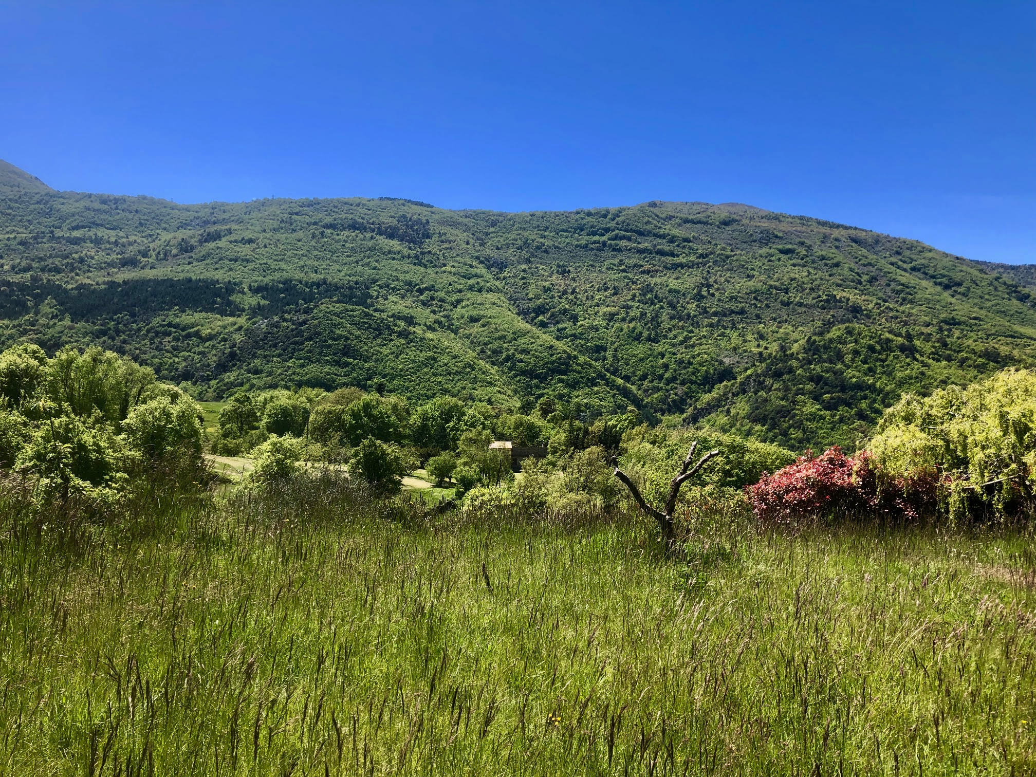 Terrain Avec Ruine Cadastrée à Vendre Occitanie