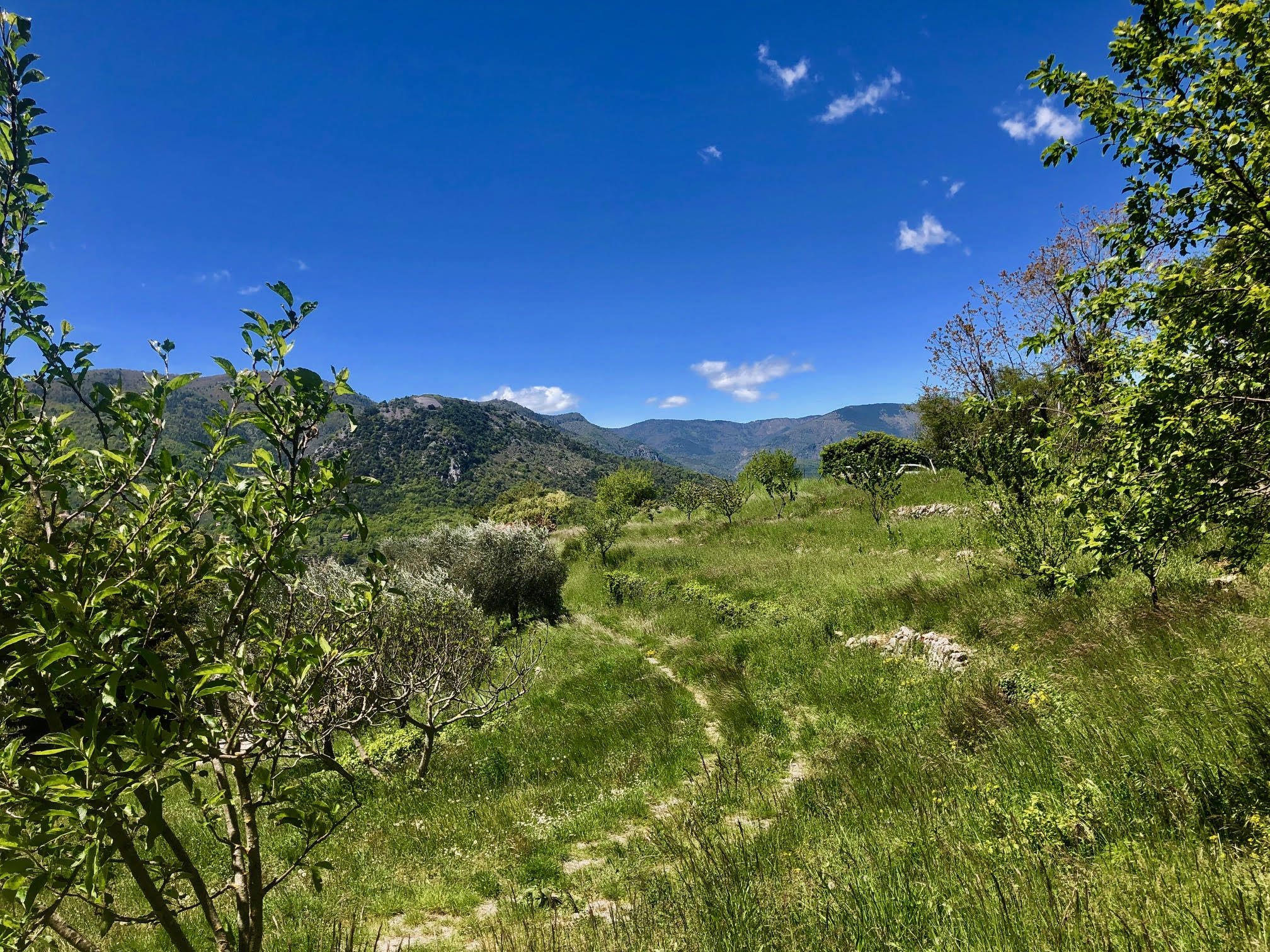 Terrain Avec Ruine Cadastrée à Vendre Occitanie