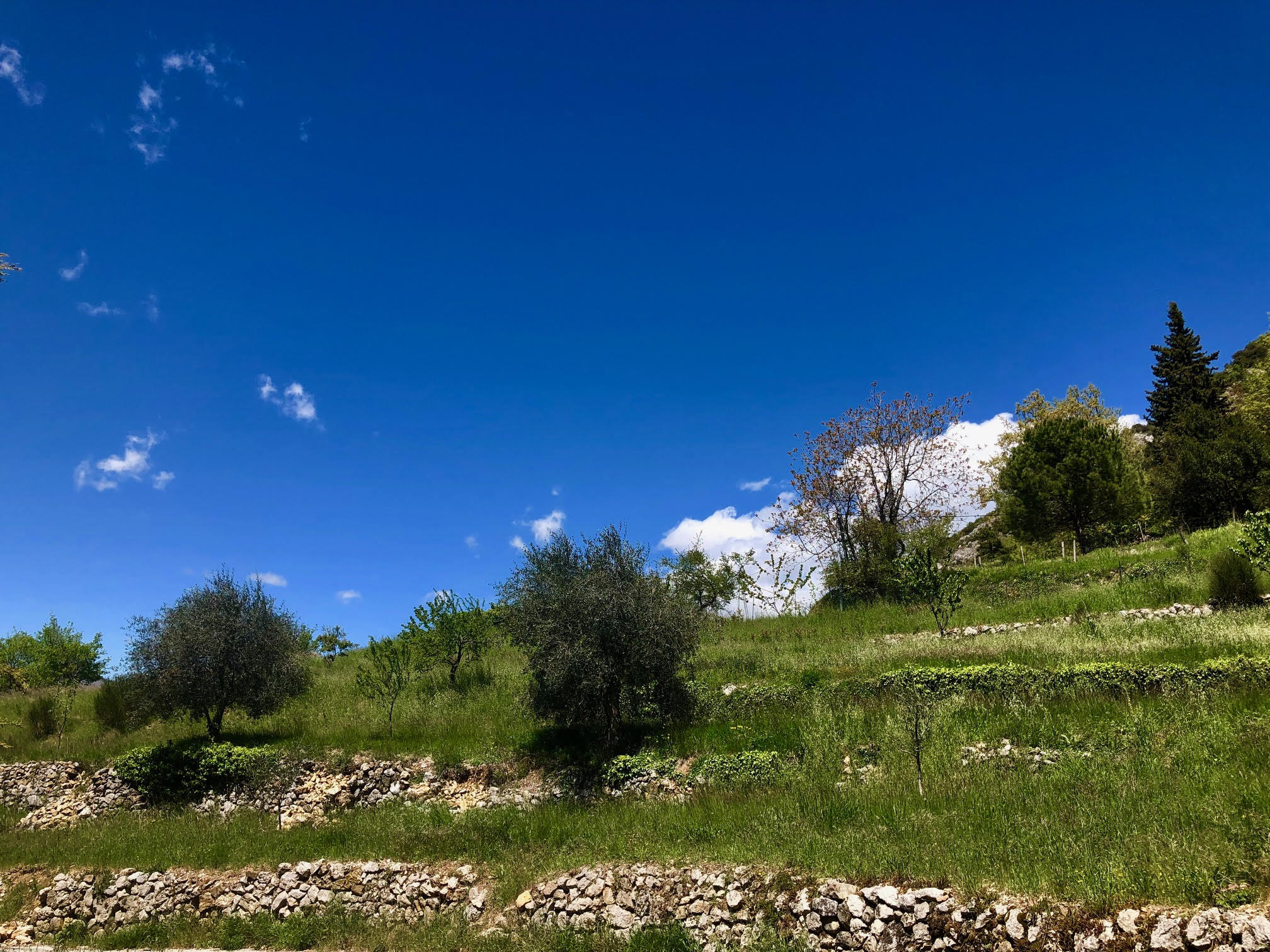 Terrain Avec Ruine Cadastrée à Vendre Occitanie