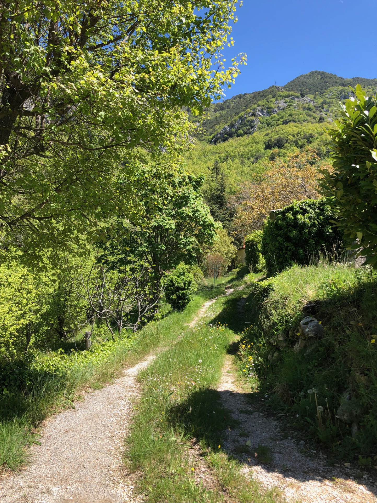 Terrain Avec Ruine Cadastrée à Vendre Occitanie